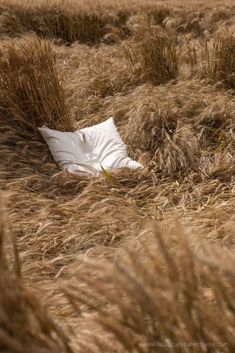 b47e8e18c87aff8595b882d8eb4e05fe-1